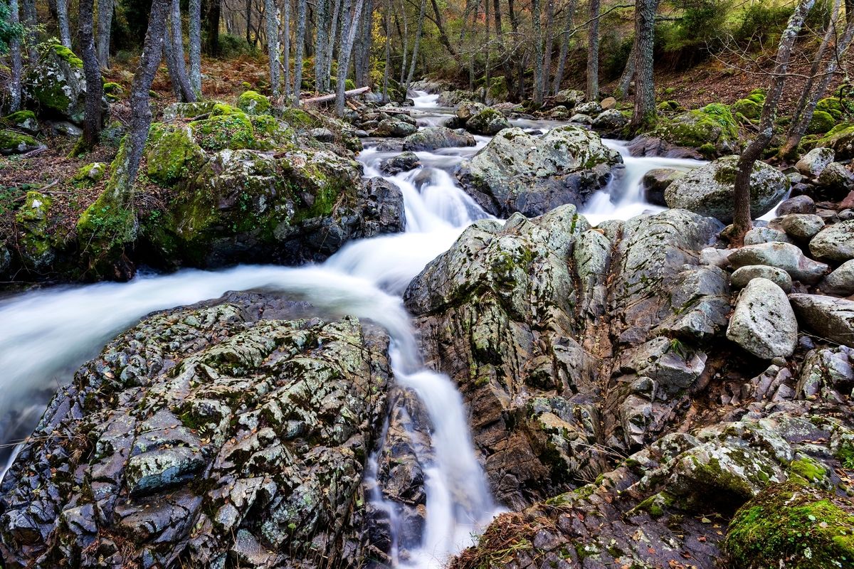 Finca Hojaranzo en plena naturaleza
